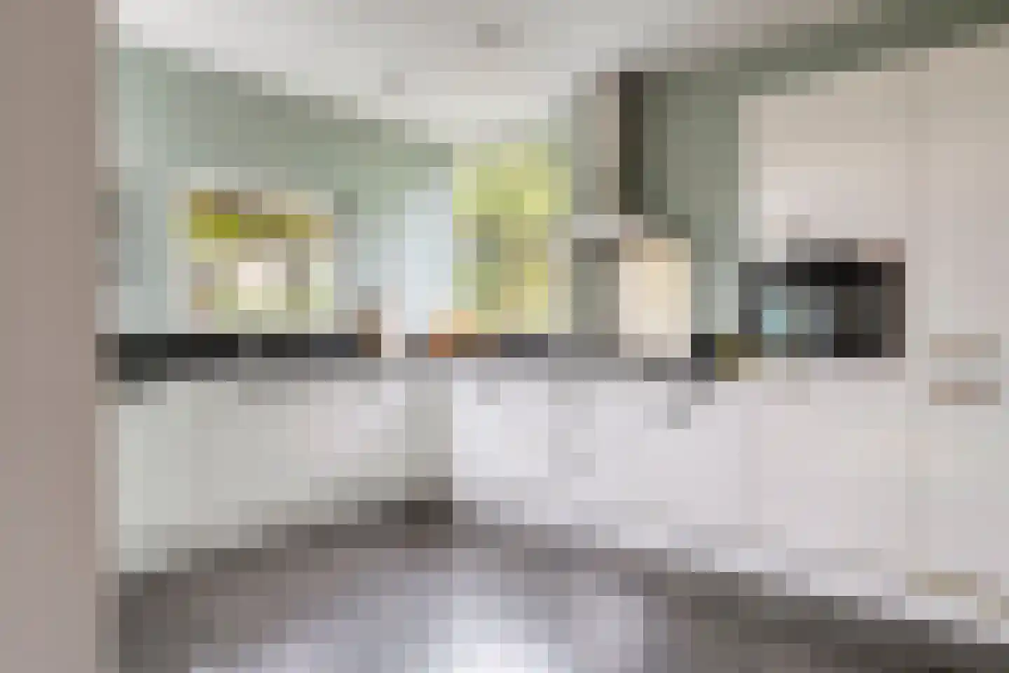 Ghijseland 226 Rhoon thumbnail 5