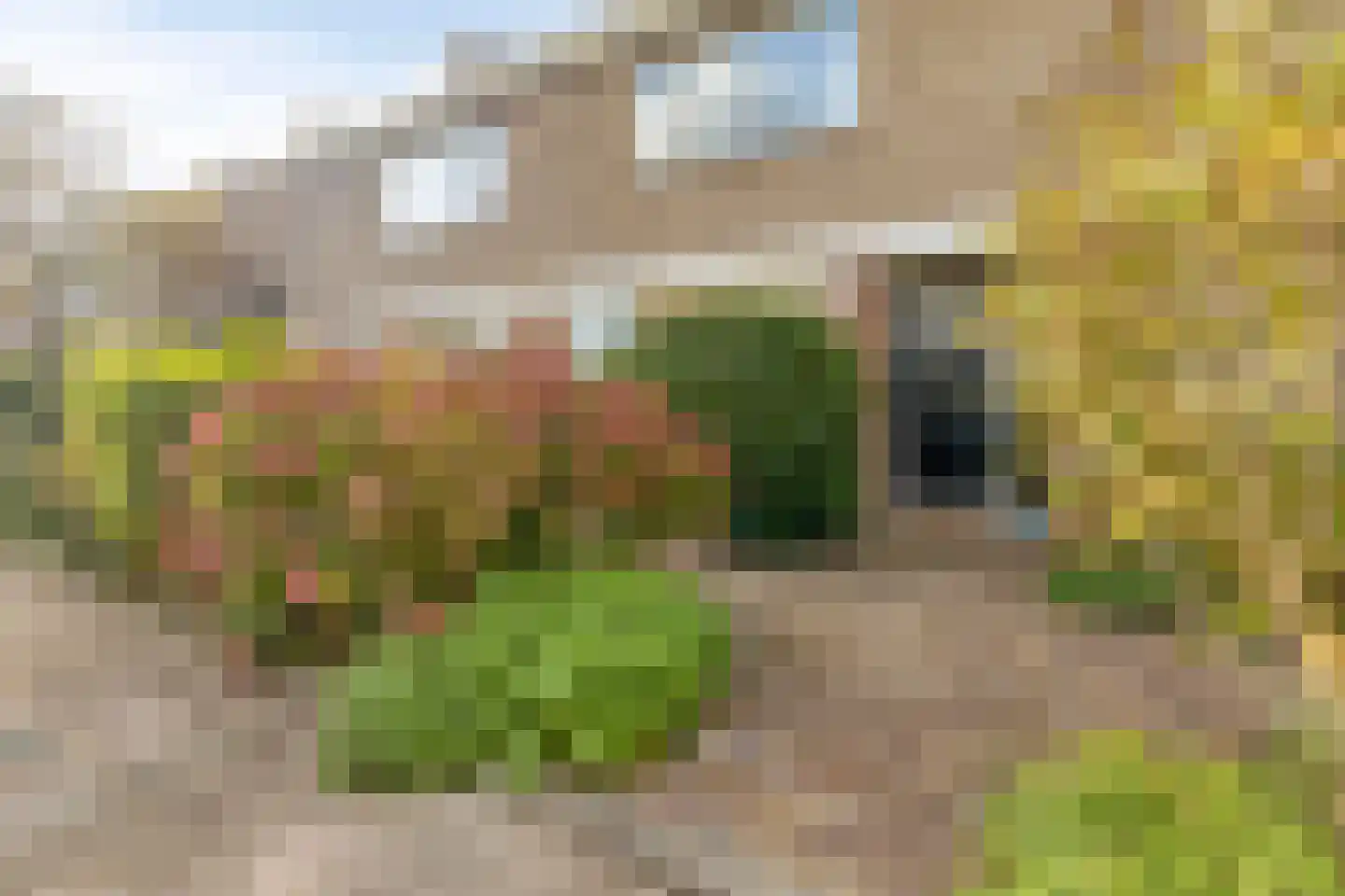 Ghijseland 226 Rhoon thumbnail 54