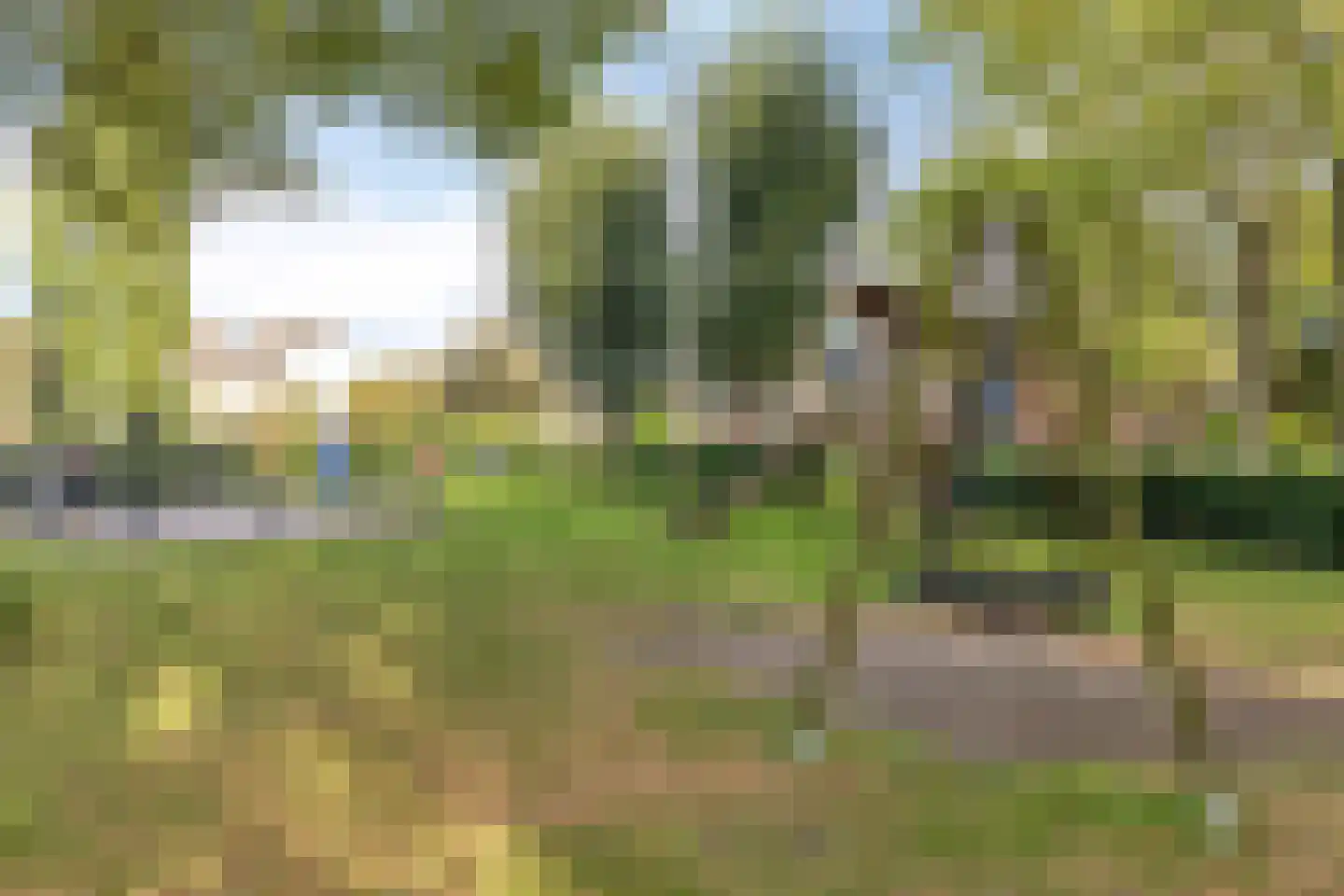 Ghijseland 226 Rhoon thumbnail 55