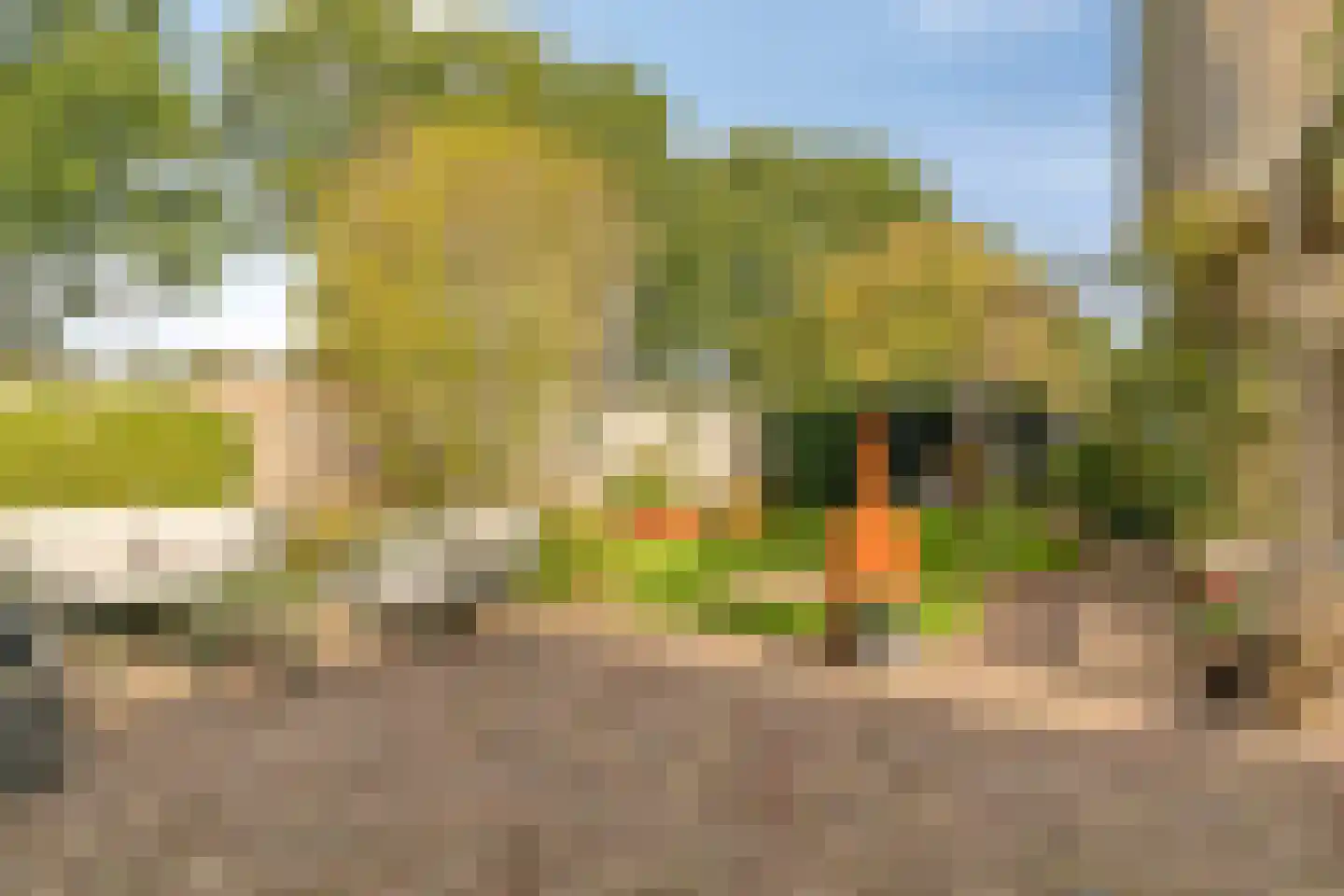 Ghijseland 226 Rhoon thumbnail 7