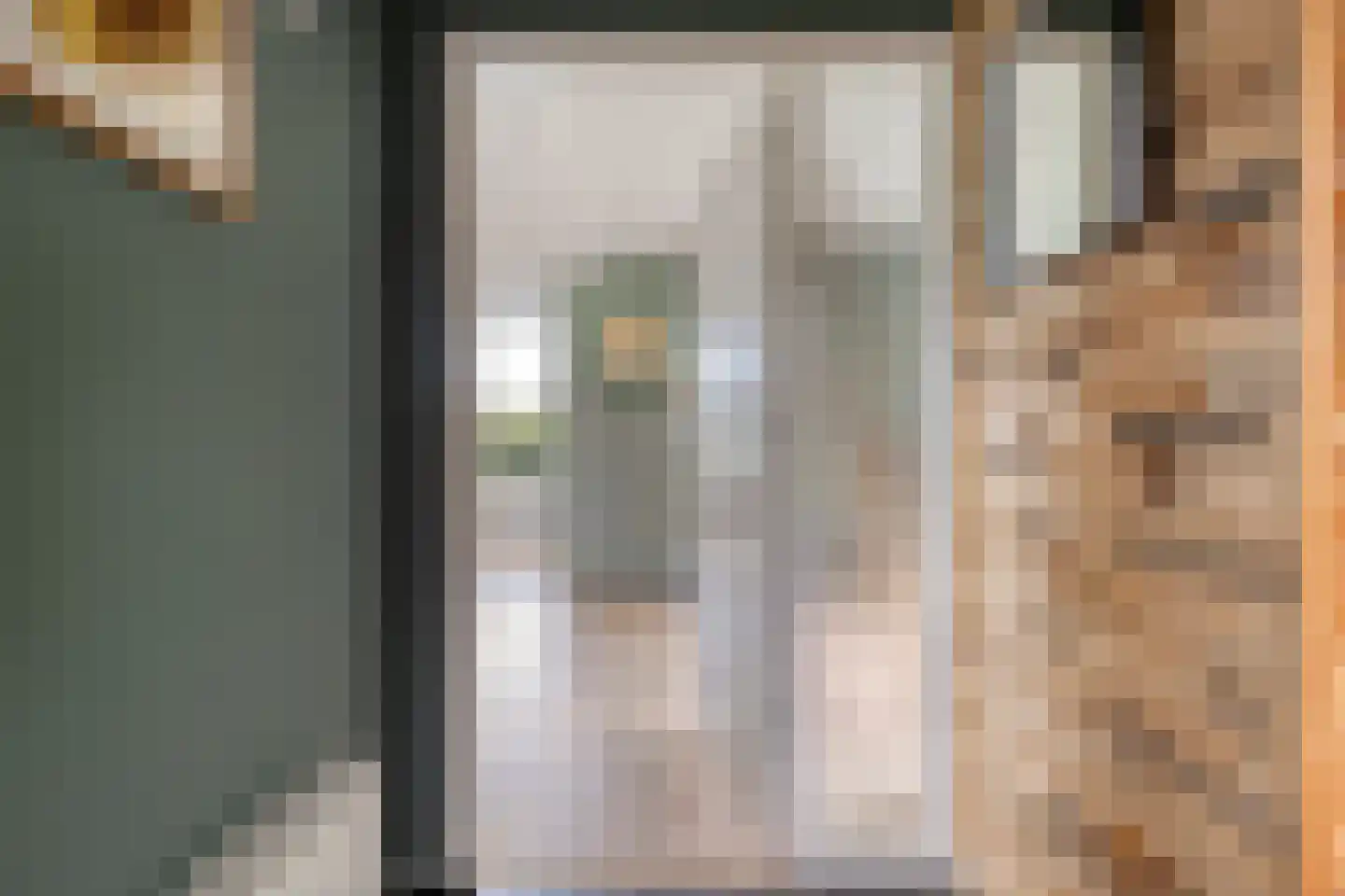 Ghijseland 226 Rhoon thumbnail 9