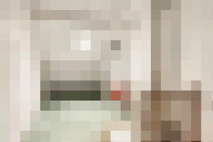 Ghijseland 244 Rhoon thumbnail 22