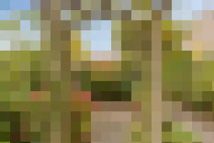 Ghijseland 244 Rhoon thumbnail 26