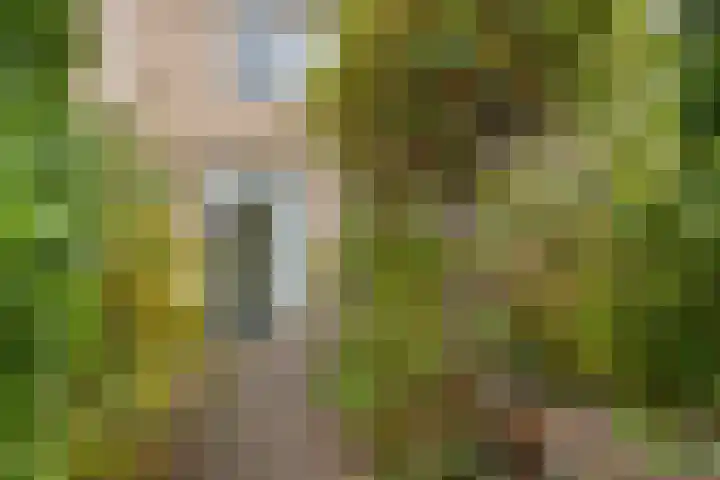 Ghijseland 244 Rhoon thumbnail 27