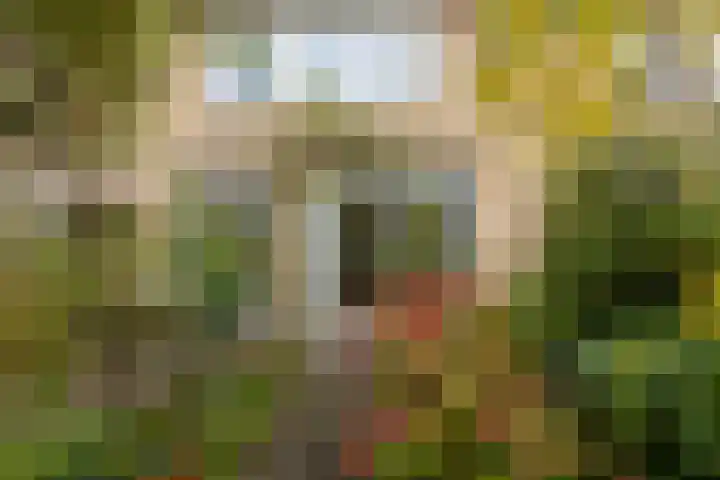 Ghijseland 244 Rhoon thumbnail 28