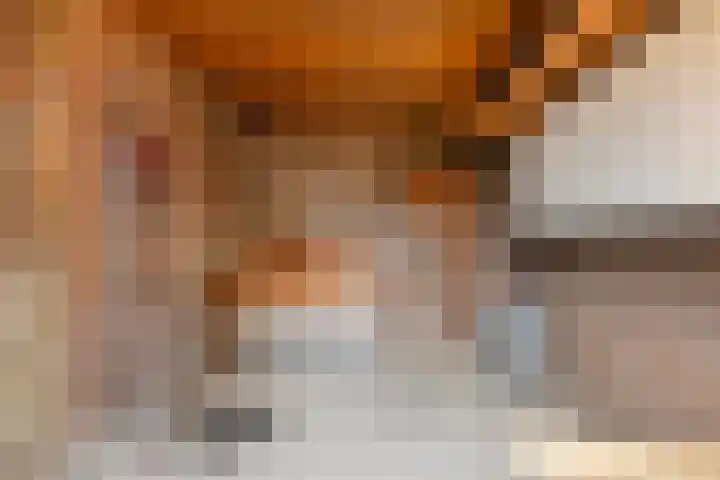 Ghijseland 244 Rhoon thumbnail 29