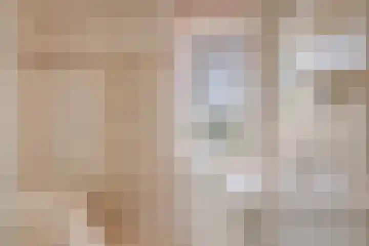 Ghijseland 244 Rhoon thumbnail 4