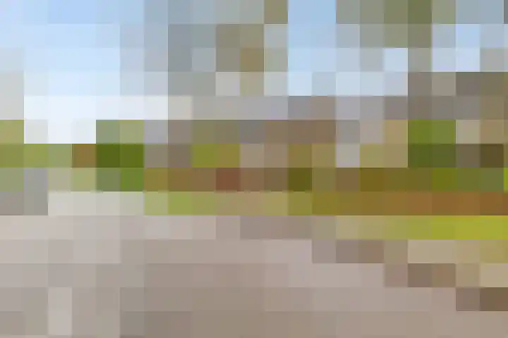 Ghijseland 244 Rhoon thumbnail 5