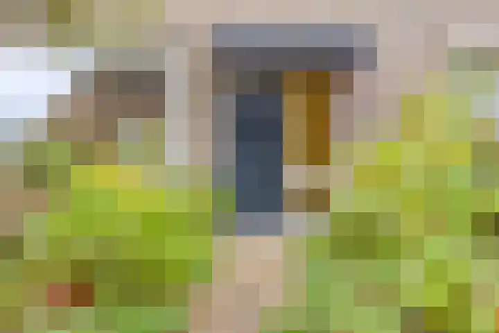 Ghijseland 244 Rhoon thumbnail 6