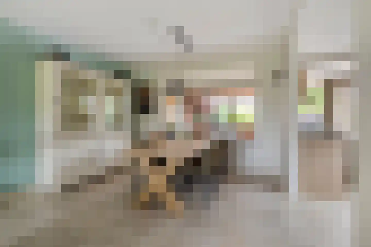 Ghijseland 254 Rhoon thumbnail 11