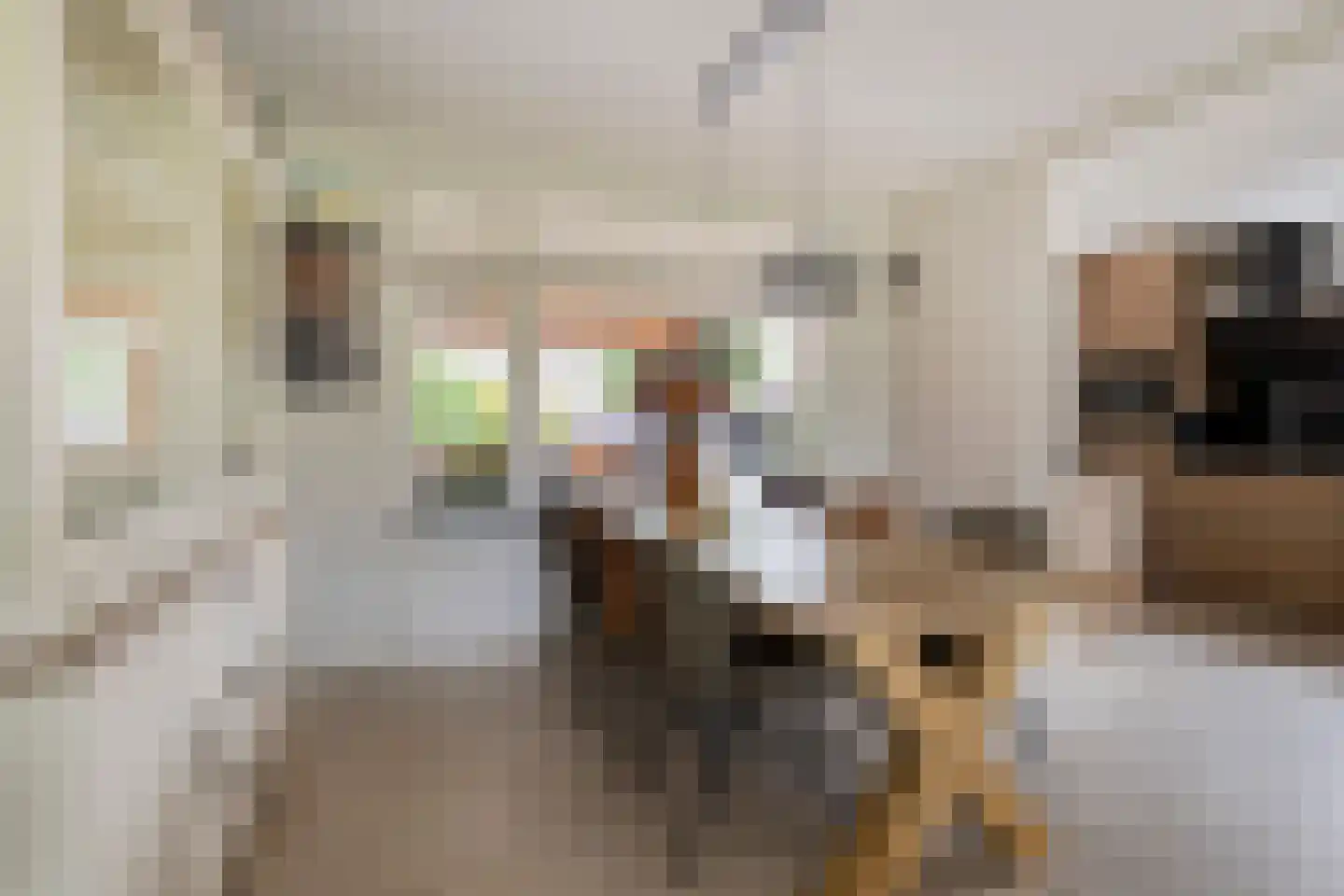 Ghijseland 254 Rhoon thumbnail 12