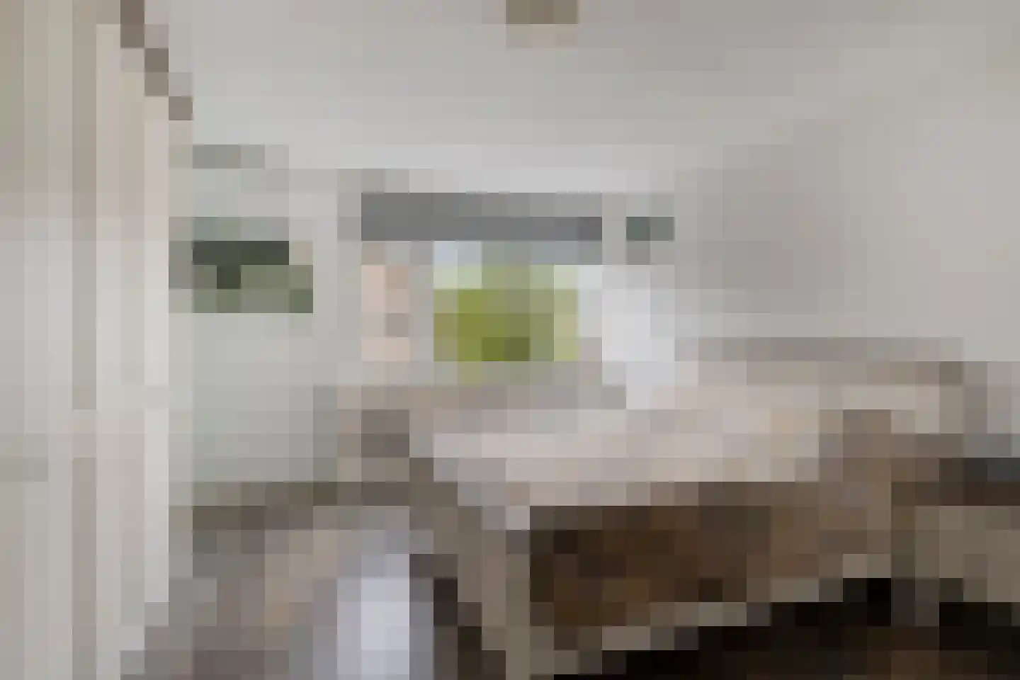 Ghijseland 254 Rhoon thumbnail 22