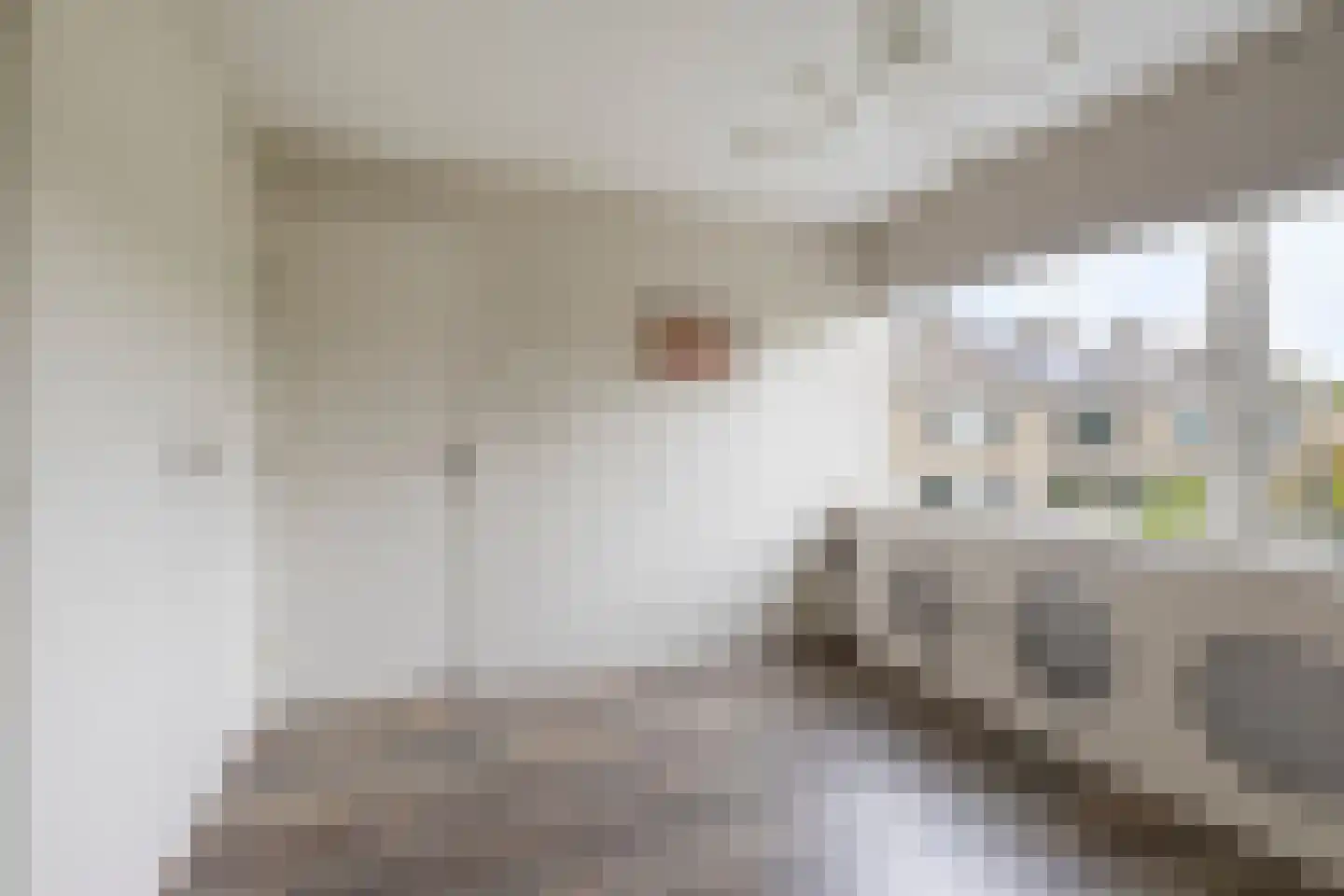 Ghijseland 254 Rhoon thumbnail 25