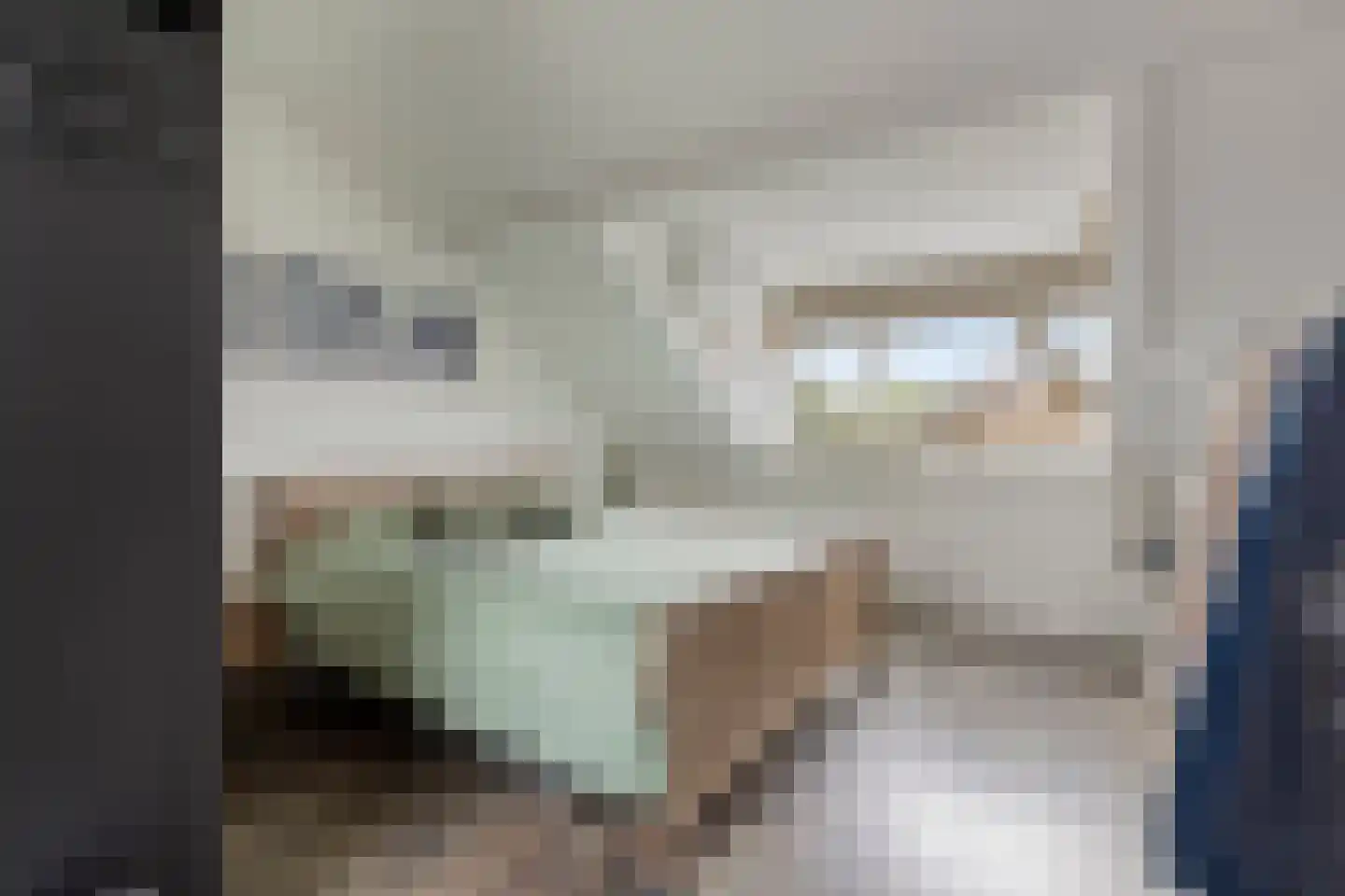 Ghijseland 254 Rhoon thumbnail 33