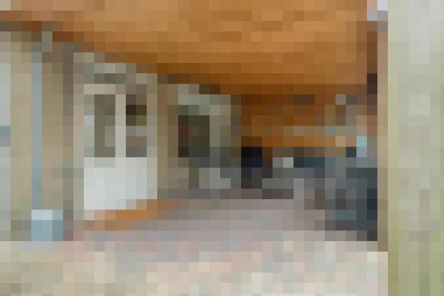 Ghijseland 254 Rhoon thumbnail 38