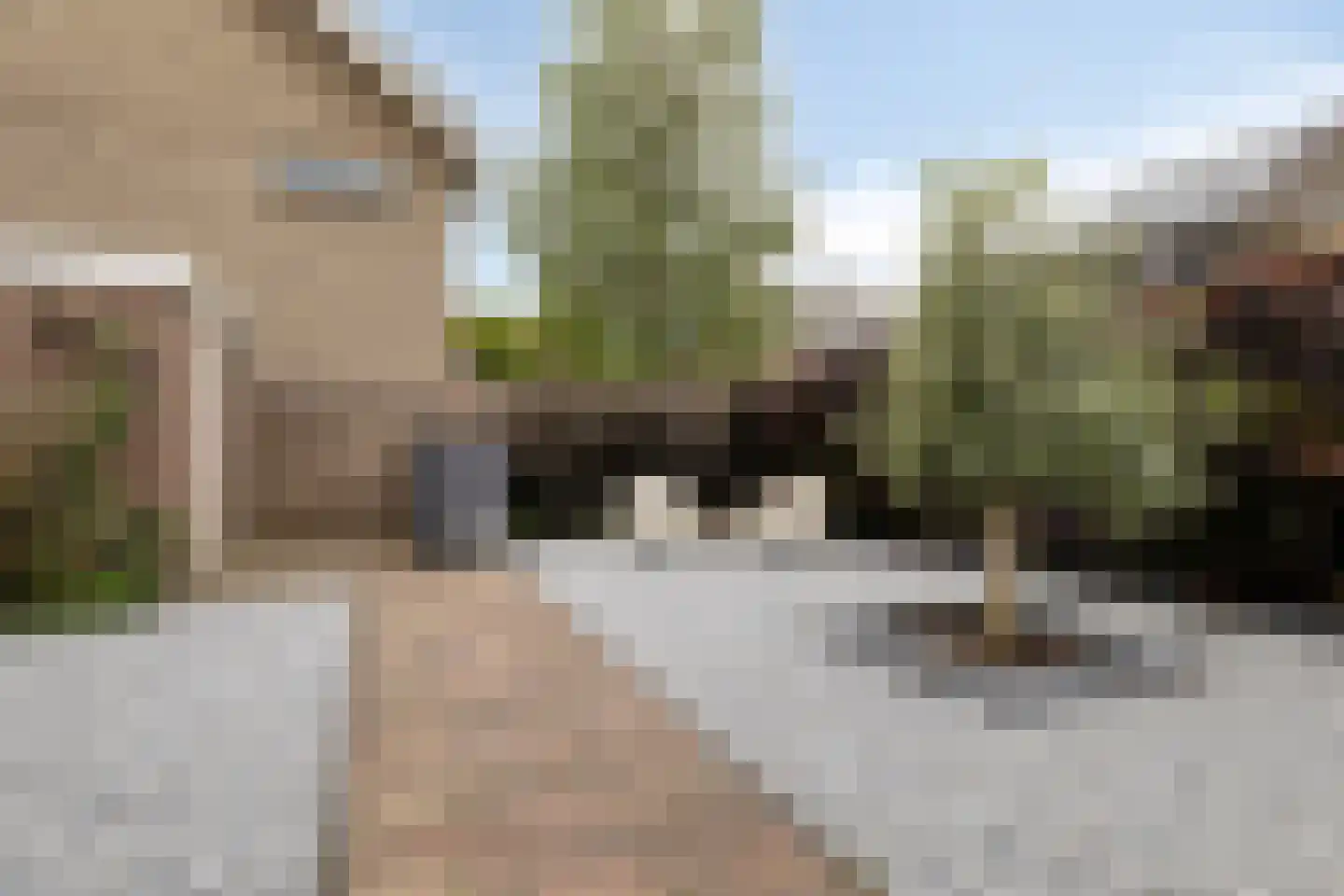 Ghijseland 254 Rhoon thumbnail 40