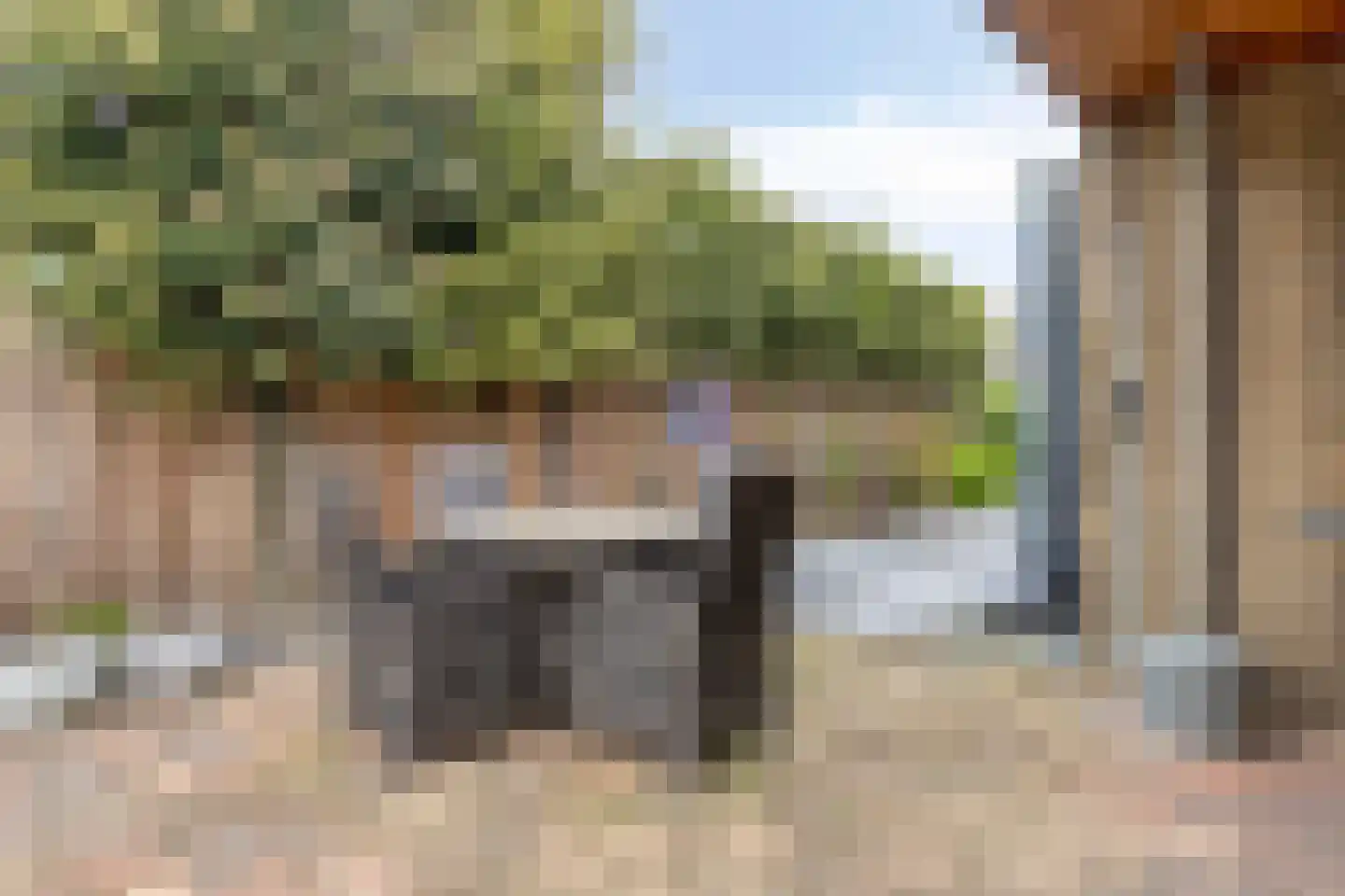 Ghijseland 254 Rhoon thumbnail 41