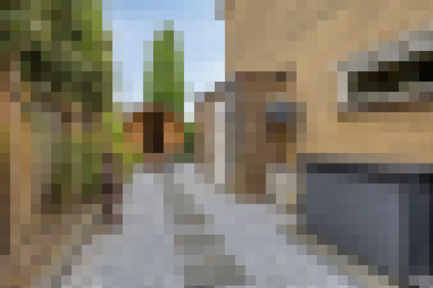 Ghijseland 254 Rhoon thumbnail 42