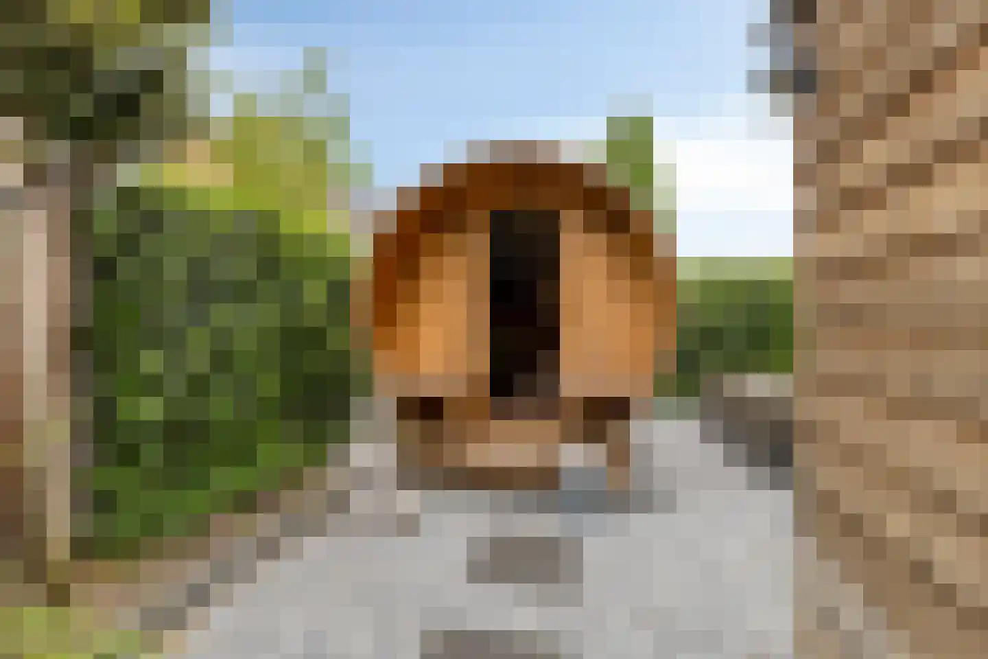 Ghijseland 254 Rhoon thumbnail 43