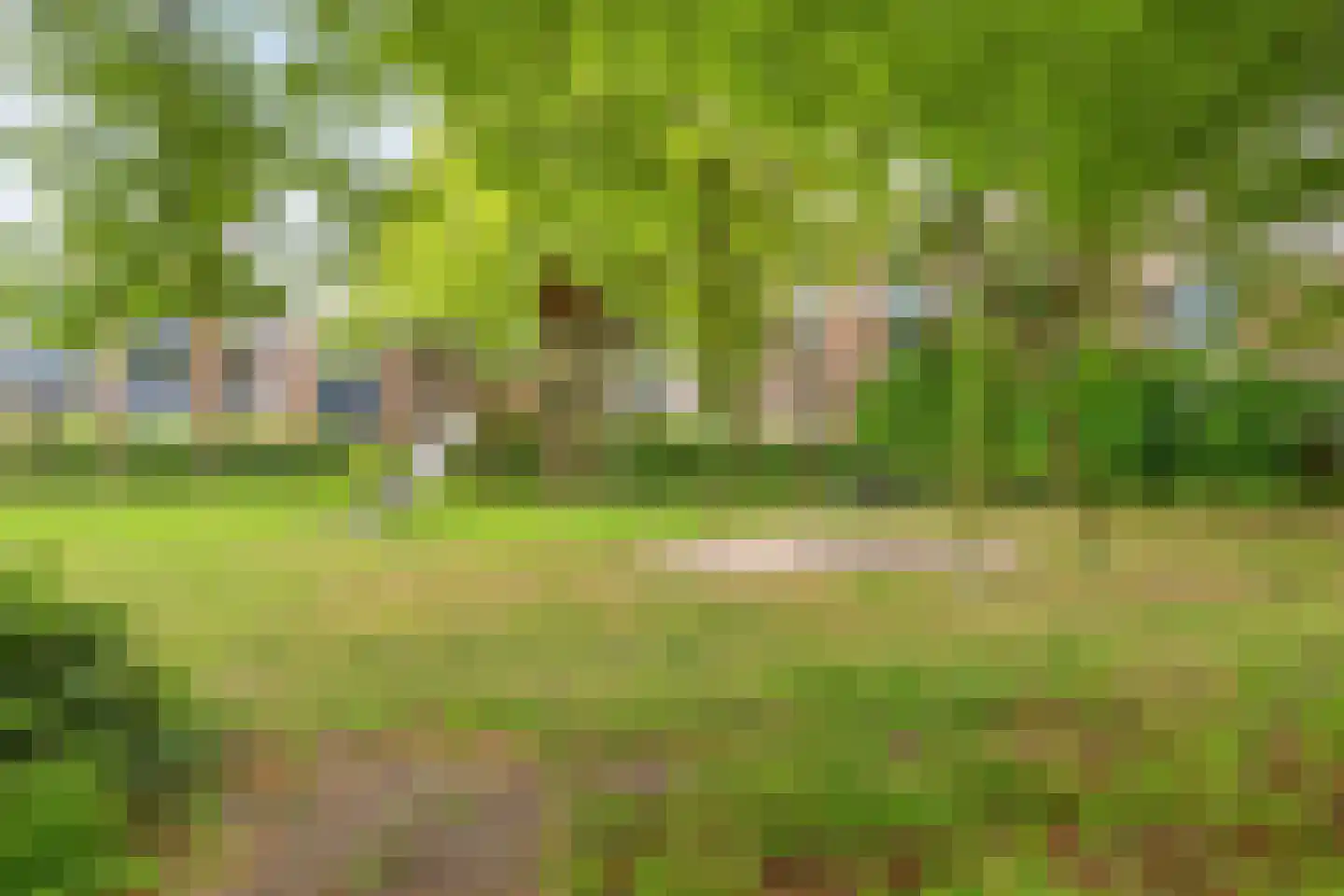 Ghijseland 254 Rhoon thumbnail 47