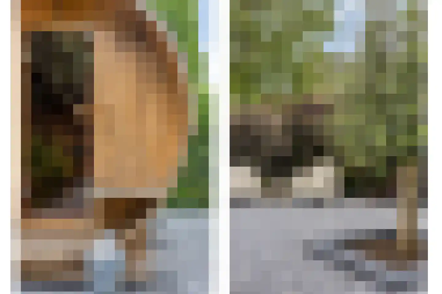Ghijseland 254 Rhoon thumbnail 6