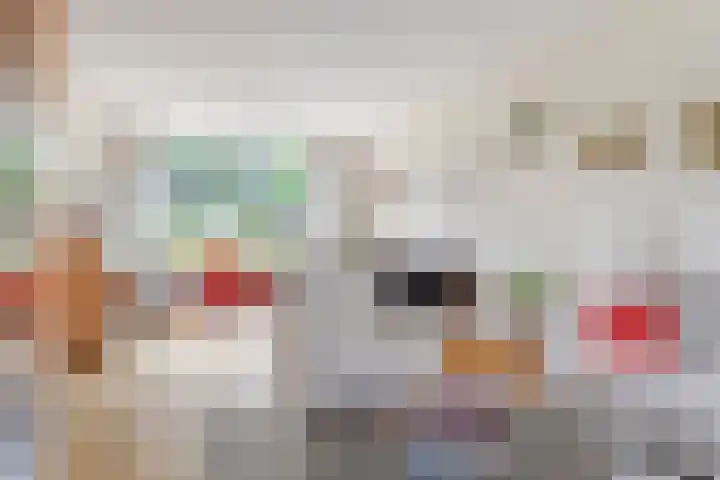 Ghijseland 255 Rhoon thumbnail 11