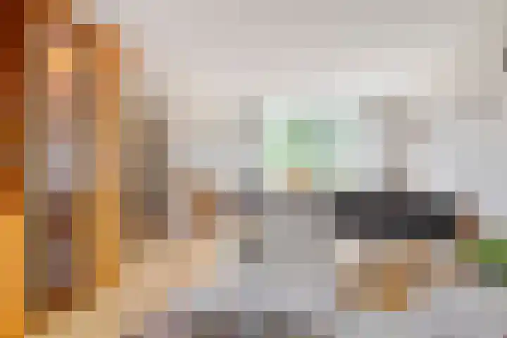 Ghijseland 255 Rhoon thumbnail 12