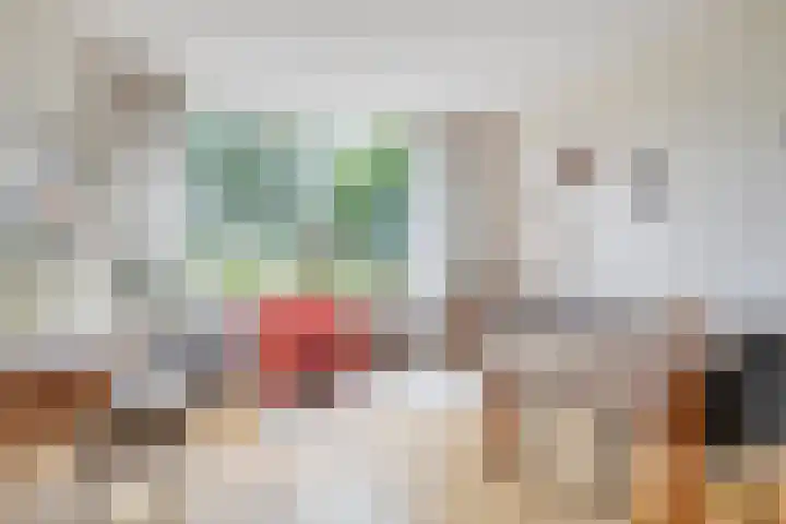 Ghijseland 255 Rhoon thumbnail 13