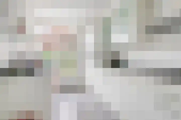Ghijseland 255 Rhoon thumbnail 16