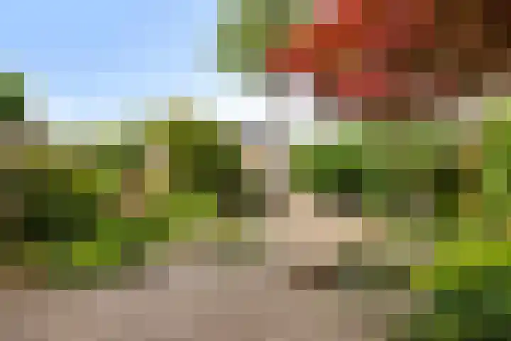 Ghijseland 255 Rhoon thumbnail 17