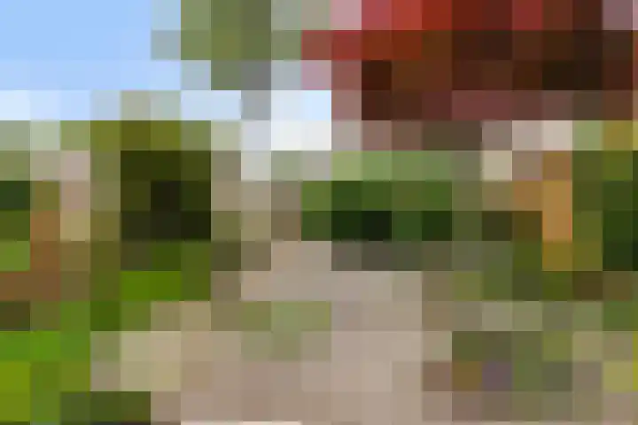 Ghijseland 255 Rhoon thumbnail 18