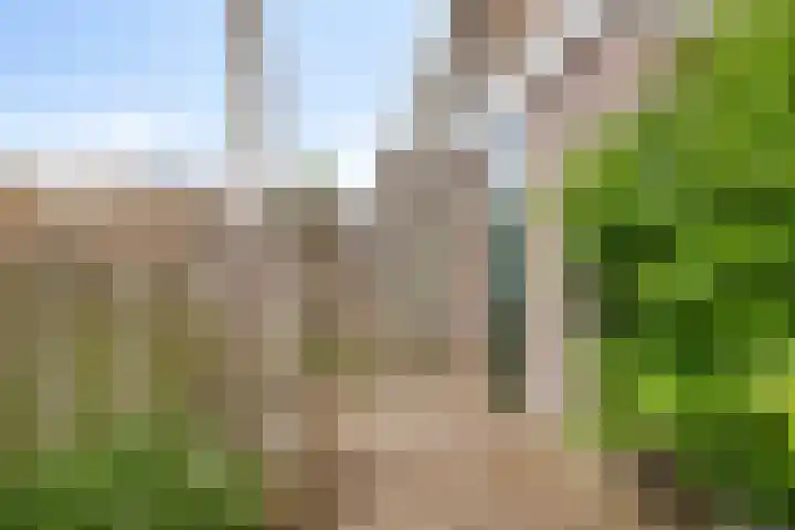 Ghijseland 255 Rhoon thumbnail 19