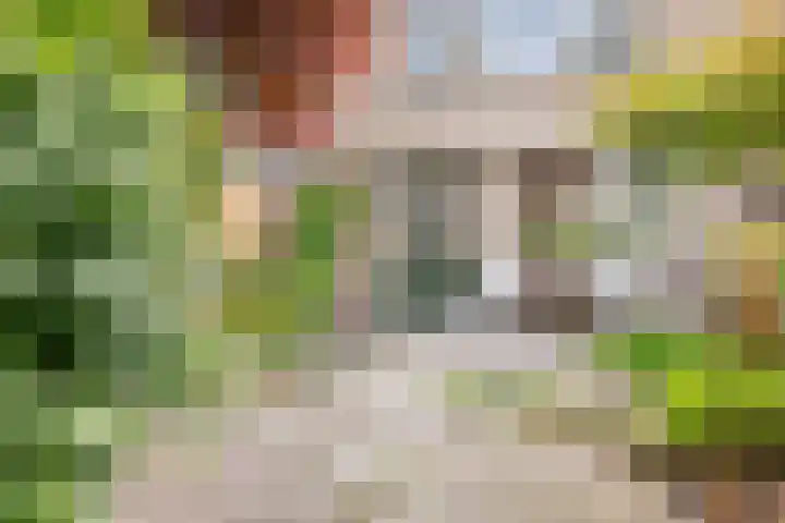 Ghijseland 255 Rhoon thumbnail 21