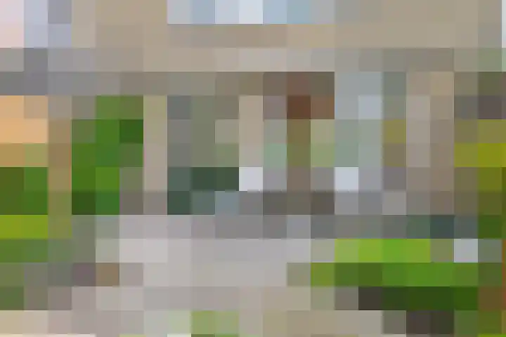 Ghijseland 255 Rhoon thumbnail 23