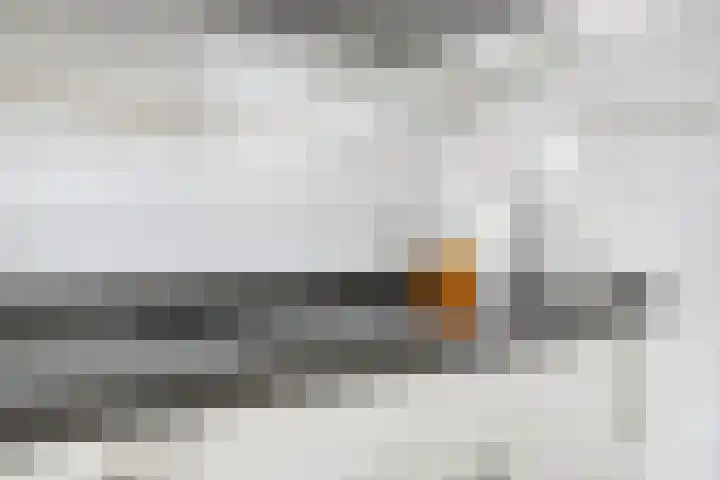 Ghijseland 255 Rhoon thumbnail 25