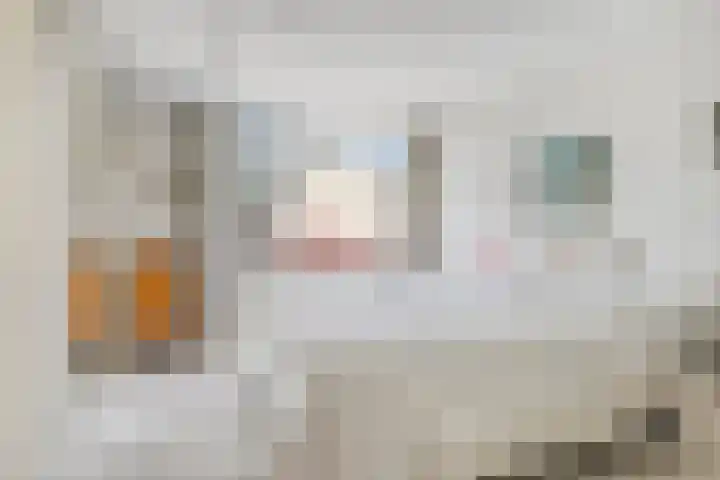 Ghijseland 255 Rhoon thumbnail 30