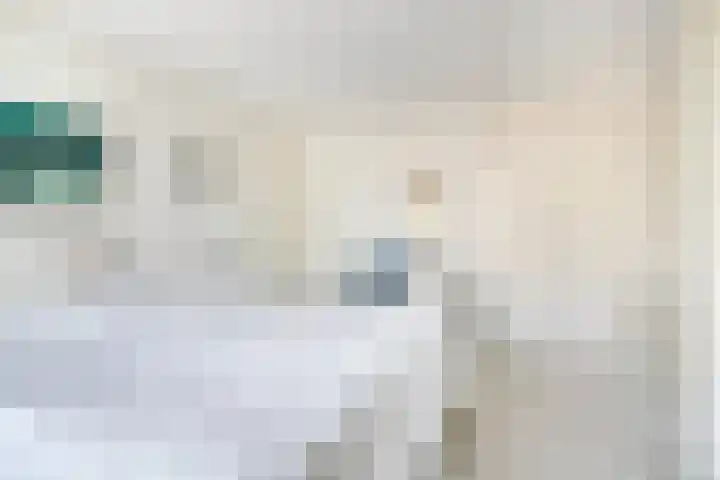 Ghijseland 255 Rhoon thumbnail 31