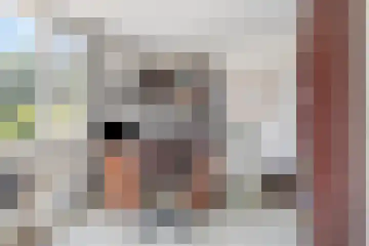 Ghijseland 255 Rhoon thumbnail 32