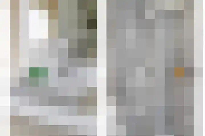 Ghijseland 255 Rhoon thumbnail 36
