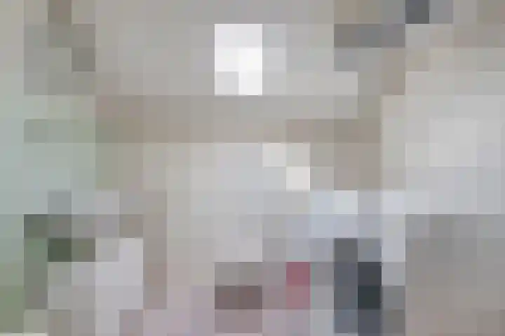 Ghijseland 255 Rhoon thumbnail 39