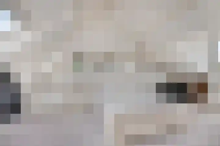 Ghijseland 255 Rhoon thumbnail 4