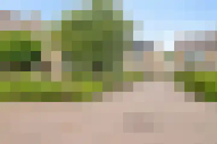 Ghijseland 255 Rhoon thumbnail 43