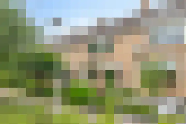 Ghijseland 255 Rhoon thumbnail 44