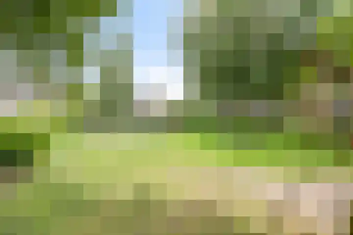 Ghijseland 255 Rhoon thumbnail 47