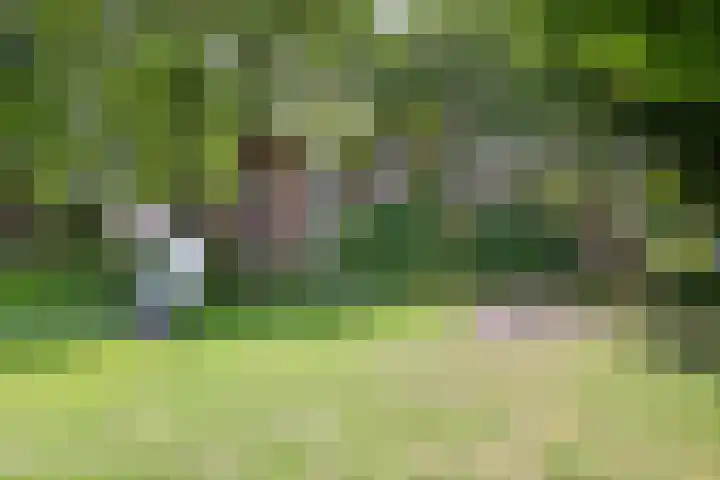 Ghijseland 255 Rhoon thumbnail 48