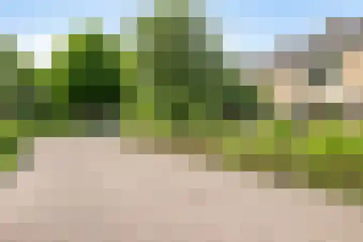 Ghijseland 255 Rhoon thumbnail 49