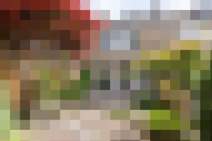 Ghijseland 255 Rhoon thumbnail 50