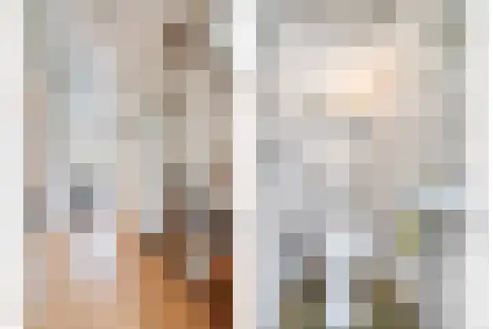 Ghijseland 255 Rhoon thumbnail 8
