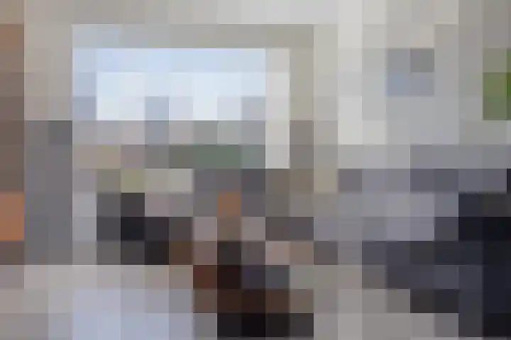 Ghijseland 257 Rhoon thumbnail 10