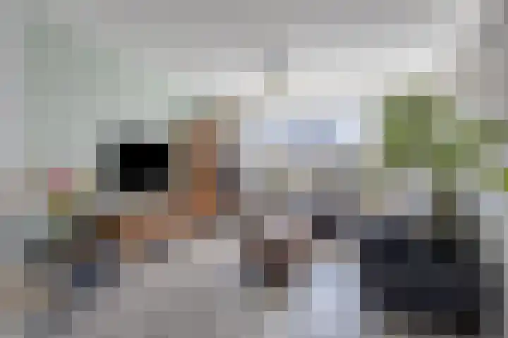 Ghijseland 257 Rhoon thumbnail 11